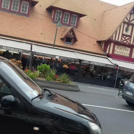 Appartement Un Petit Nid En Face De La Mer A *