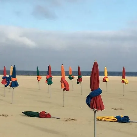 Un Petit Nid En Face De La Mer A *